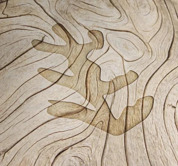 «ДРЕВО ПОЗНАНИЯ»