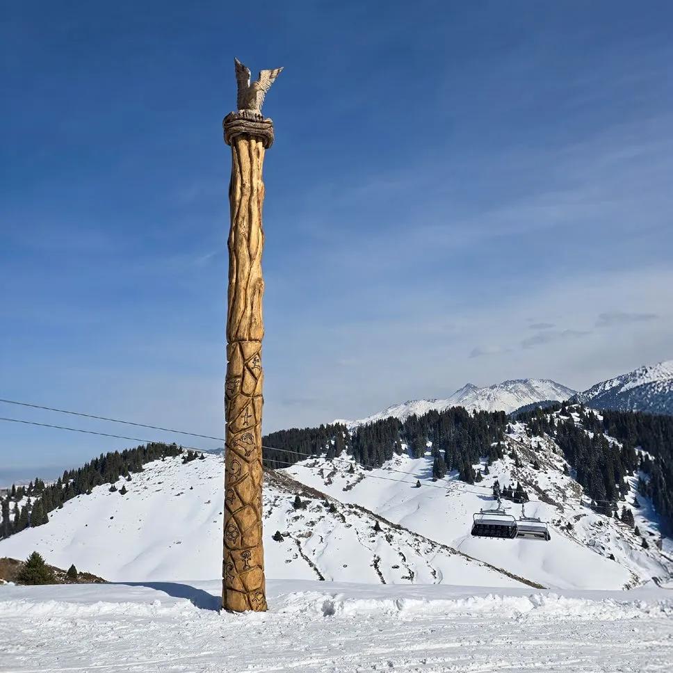 В стремлении к свету