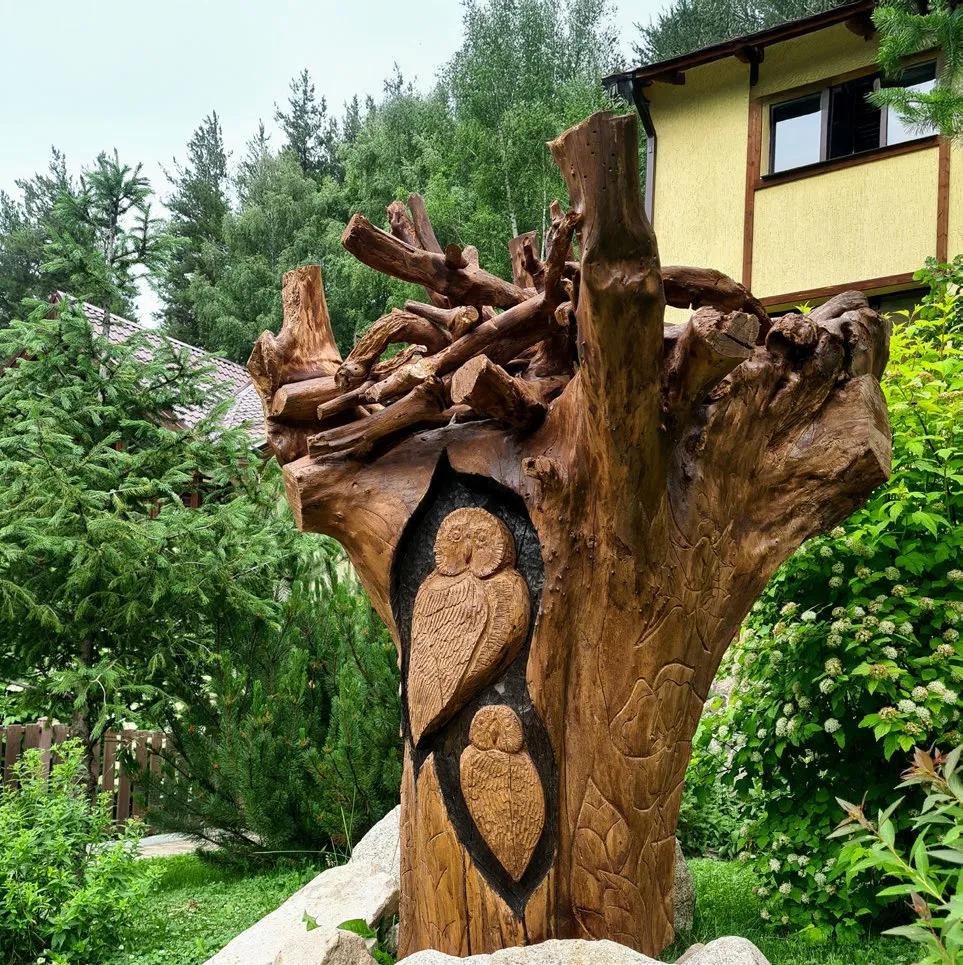 Ветви памяти