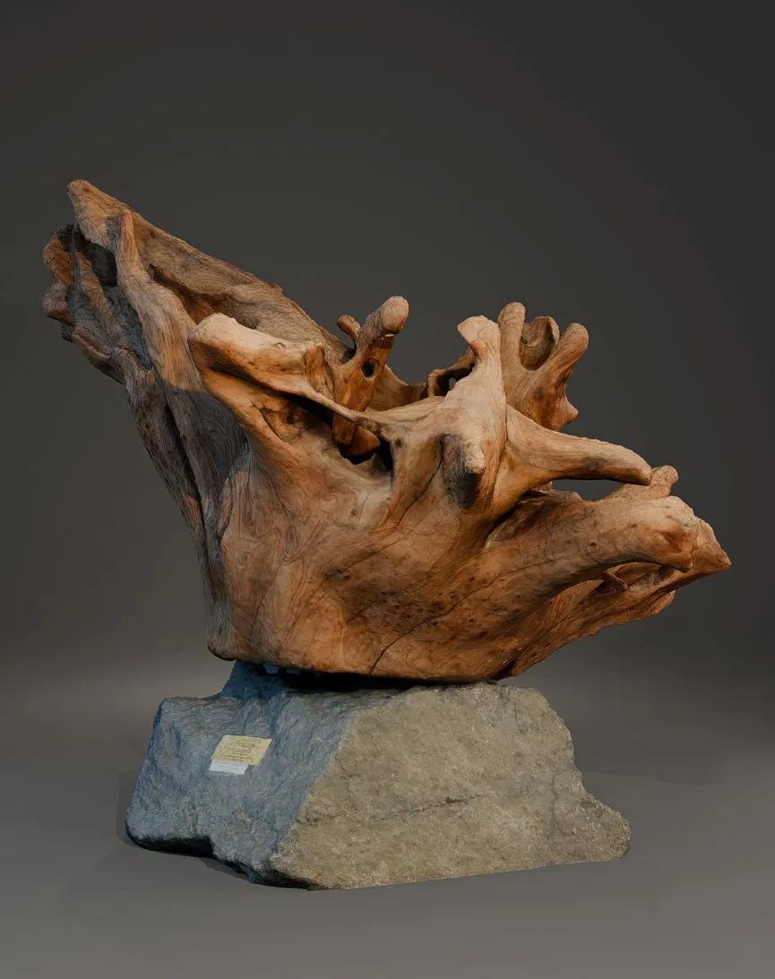 Орхидея (светильник)