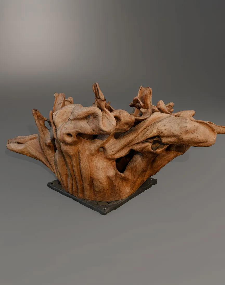 Дарлингтония (настенная/напольная)