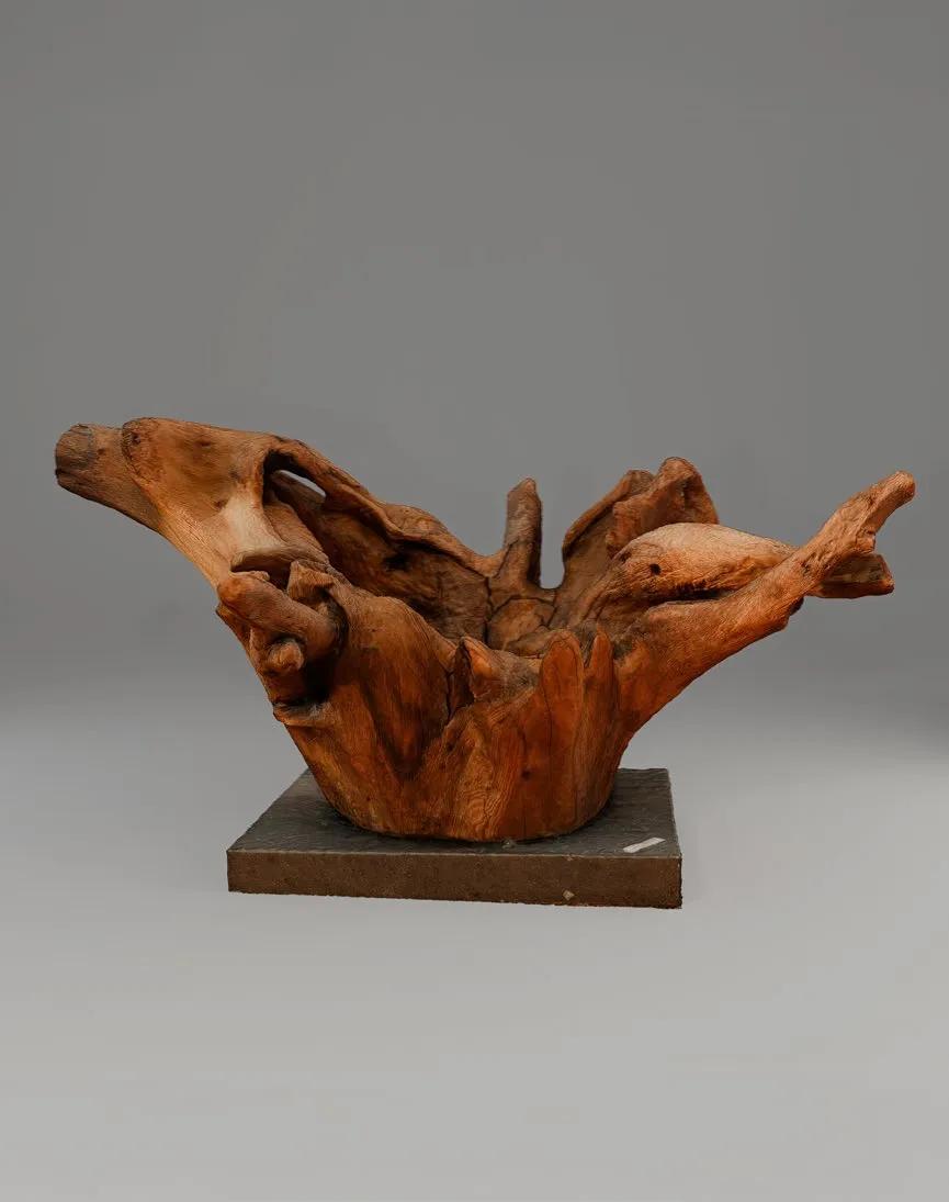 Цветок желаний