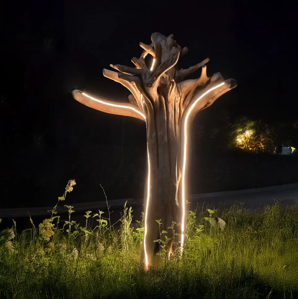 Appeal to Heaven - View 1