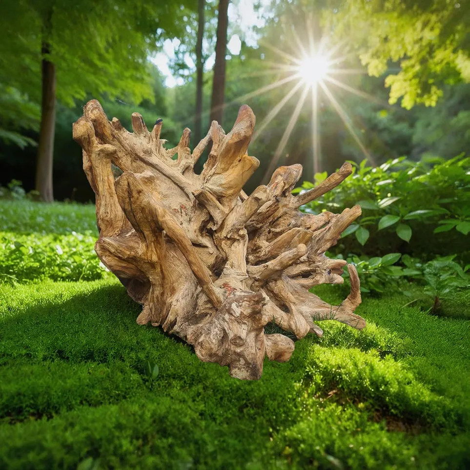 Ағаштың әні - View 1